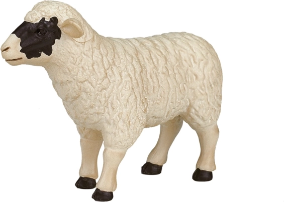 Figurka ovce HAMPSHIRE od Mojo – realistický model pro děti i sběratele