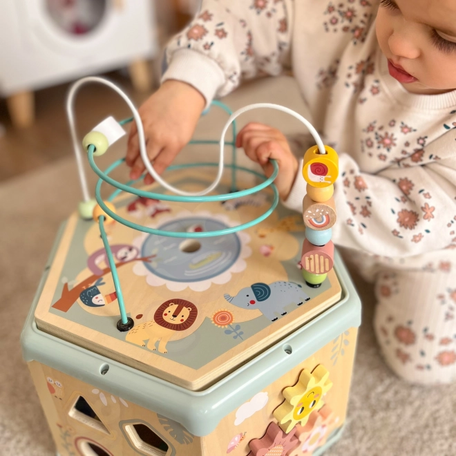 Interaktivní dřevěný šestiúhelník Montessori TOOKY TOY