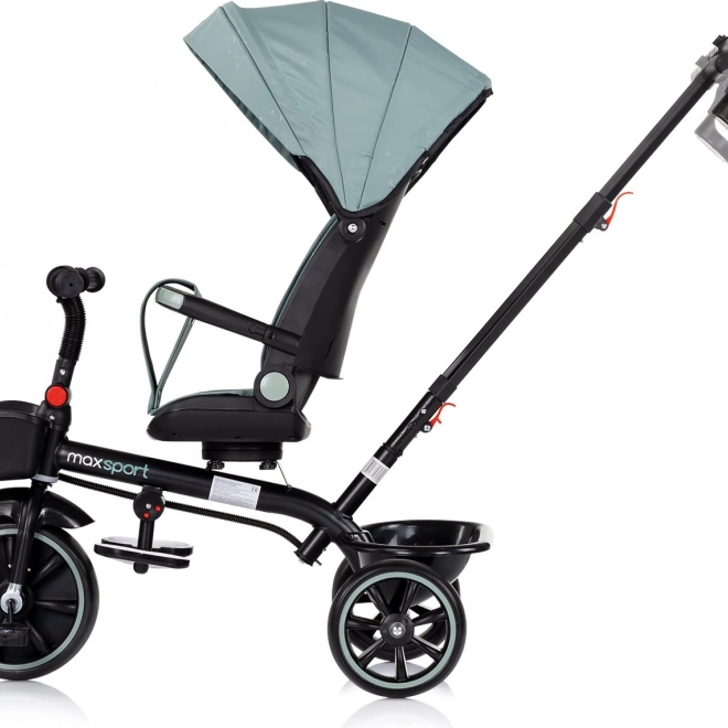 Tříkolka se stříškou 2v1 Chipolino Max Sport Basil
