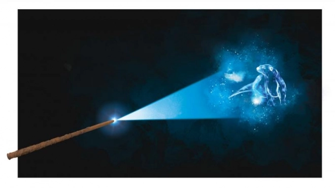 HARRY POTTER HŮLKA HERMIONY S PROJEKTOREM