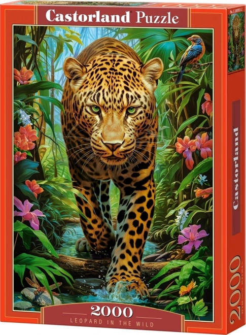 Puzzle leopard v divočině od Castorland, 2000 dílků