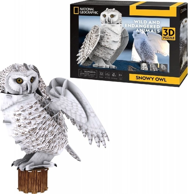 3D Puzzle Sněžná Sova