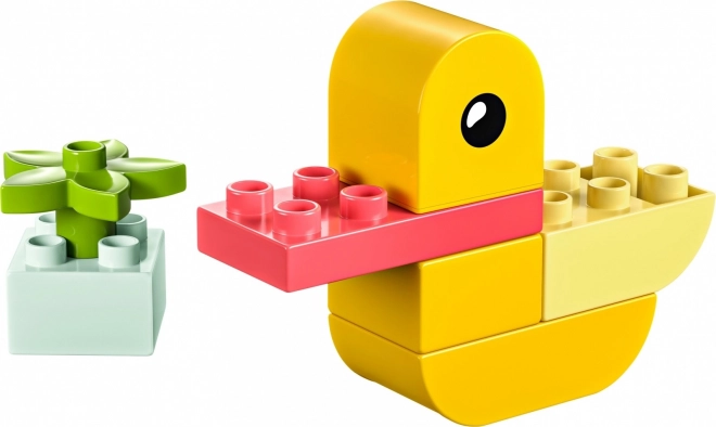DUPLO Moje první kačátko 4 v 1
