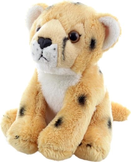 Realistické detaily pro rozvoj fantazie