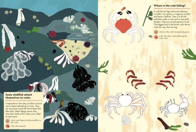 Chronicle Books Kniha aktivit se samolepkami My nature – Na Pobřeží