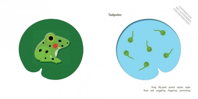 Můj první dotek a pocit zvířátka
