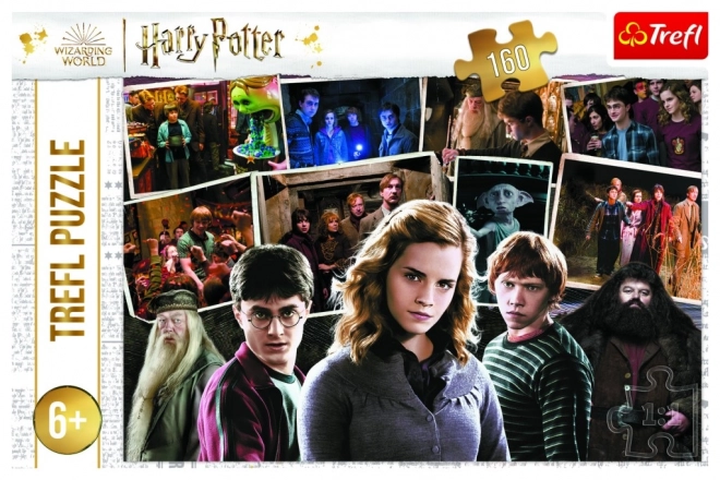 Puzzle Harry Potter a přátelé