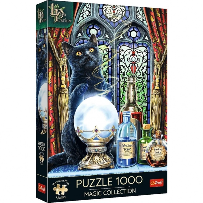 Puzzle 1000 dílků Premium Čarodějův učeň Lisa Parker