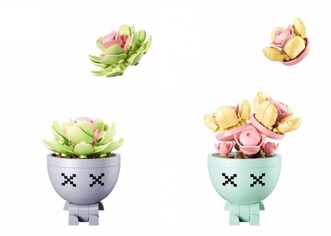 Sukulenty ve květináči Sluban Flowers
