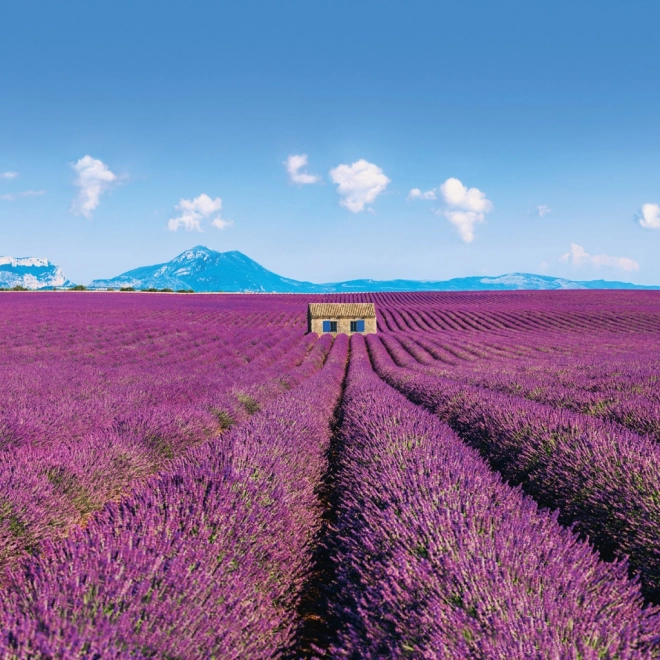 Poznámkový kalendář Provence 2026