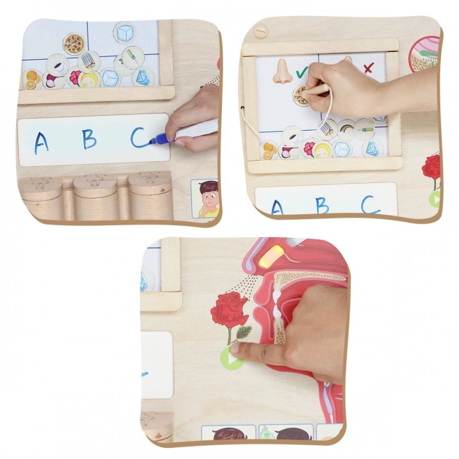 Vzdělávací tabule Montessori - Čich