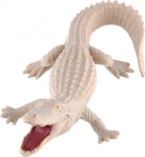 Vzdělávací hodnota o vzácném zbarvení