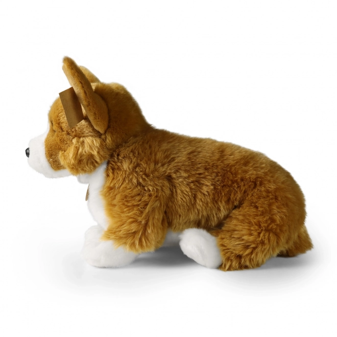 Plyšový pes corgi 32 cm z ekologických materiálů