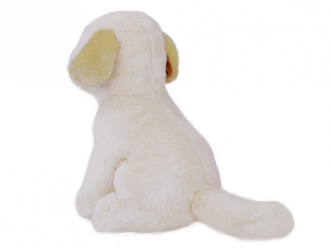 Maskot plyšový labrador sedící 20cm 13475