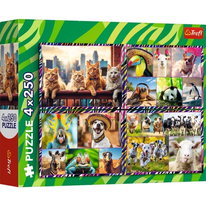 Puzzle 4x250 prvků Zábavná zvířata