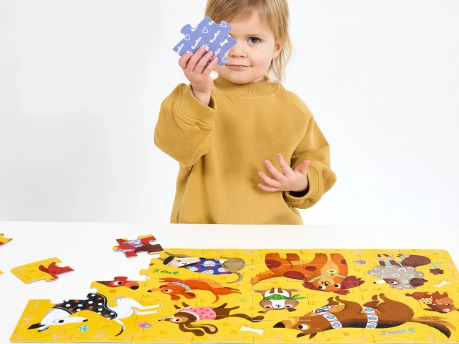 CzuCzu Puzzle Hau Piesci, 40 ks