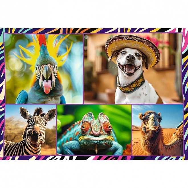 Puzzle 4x250 prvků Zábavná zvířata