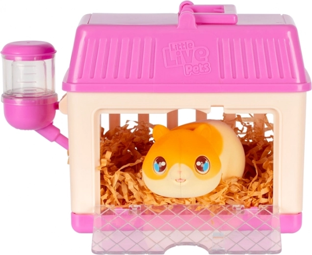 Rozvíjí empatii a zodpovědnost