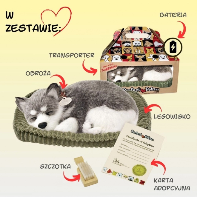 Dechberoucí Aljašský Husky plyšák