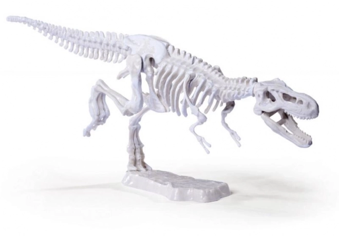 Detailní modely dinosaurů