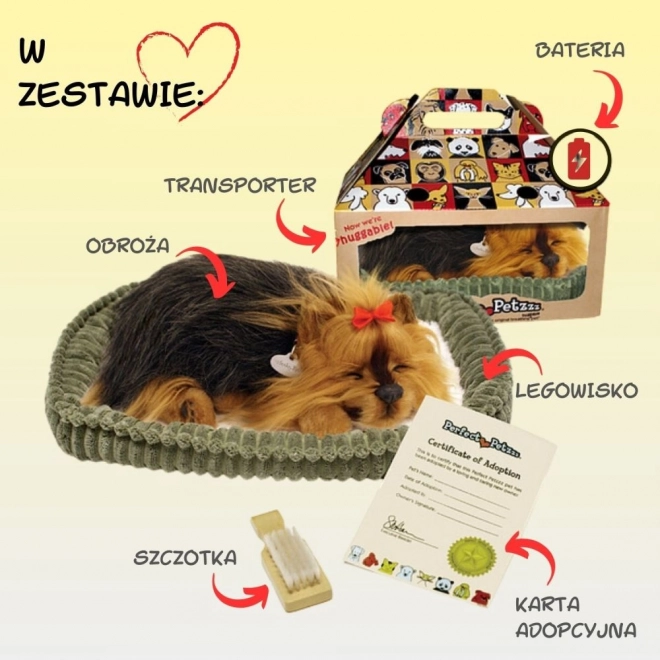 Perfektní Petzzz Štěkající štěně York
