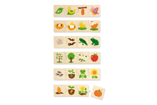 Dřevěné puzzle - evoluce