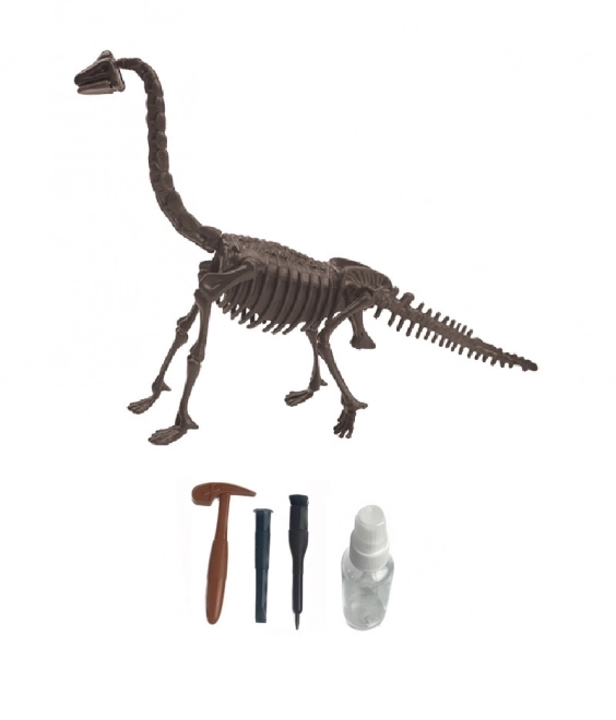 Archeologický set – brachiosaurus