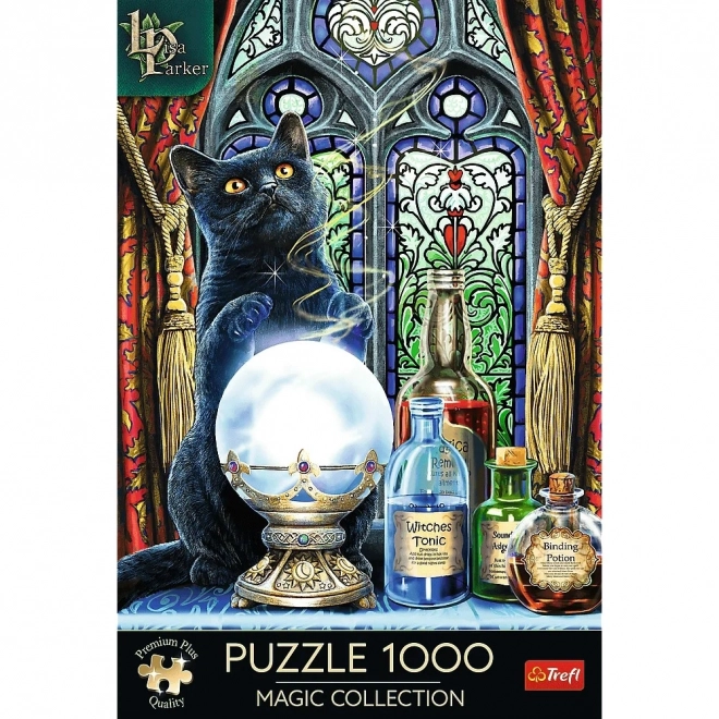Puzzle 1000 dílků Premium Čarodějův učeň Lisa Parker