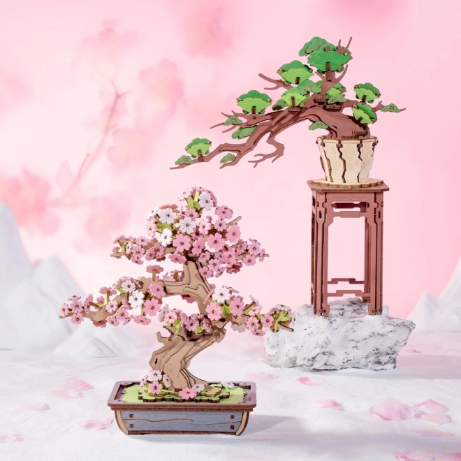 3D dřevěná skládačka Bonsai Sakura