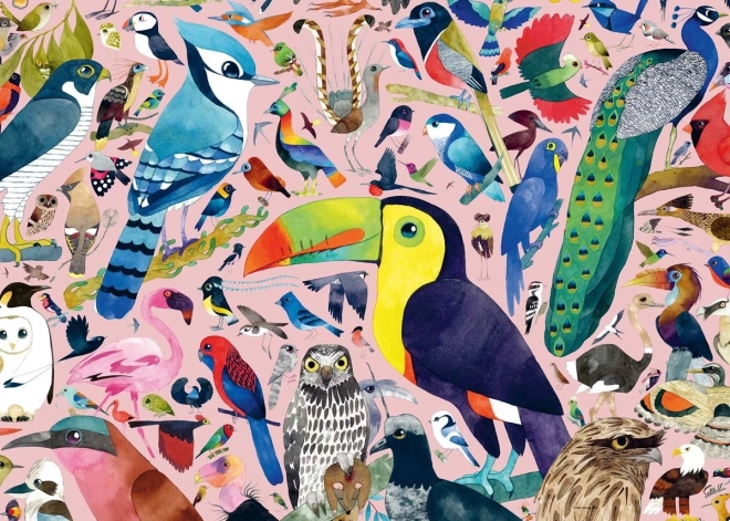 Ravensburger Puzzle Úžasní Ptáci od Matt Sewell 1000 dílků