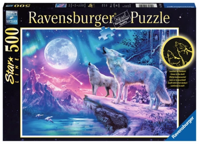 Ravensburger puzzle polární světlo 1000 dílků