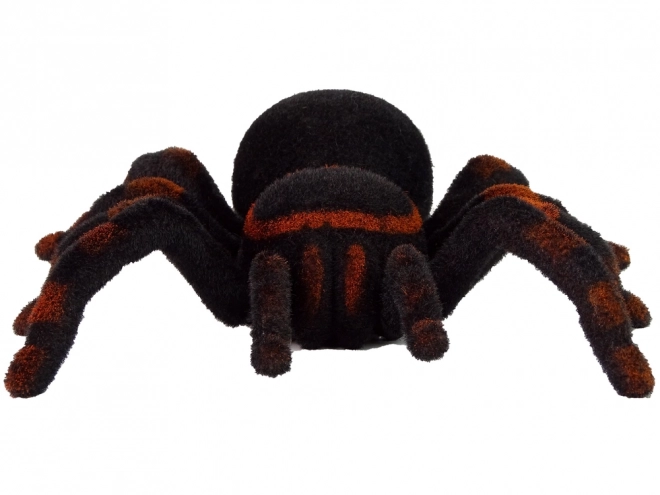 Dálkově ovládaný pavouk Tarantula Black R/C