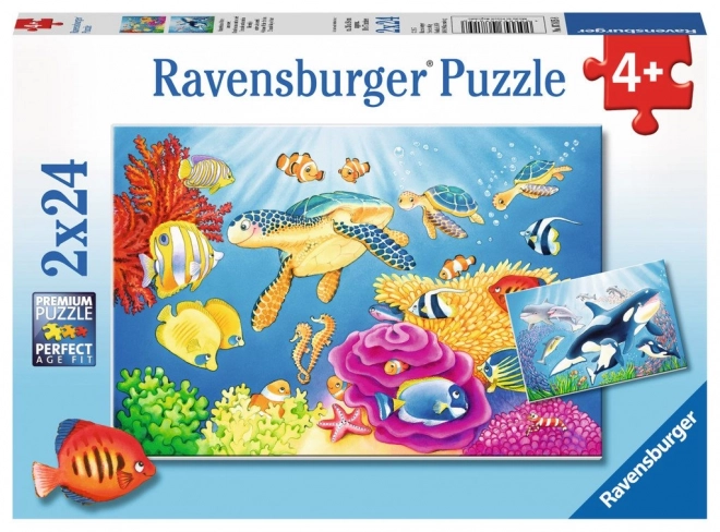 Puzzle podmořská krása 2x24 dílků