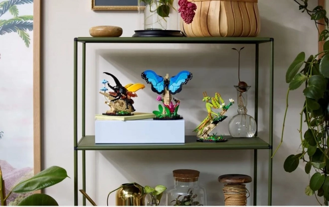 LEGO® Ideas 21342 Hmyzí kolekce