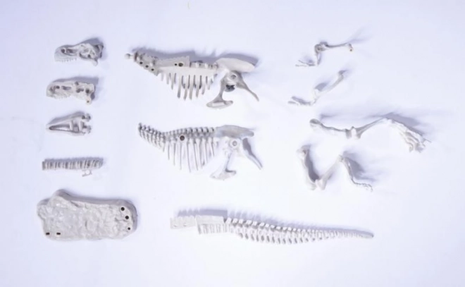 Sada na vykopávání a sestavení dinosauřích koster