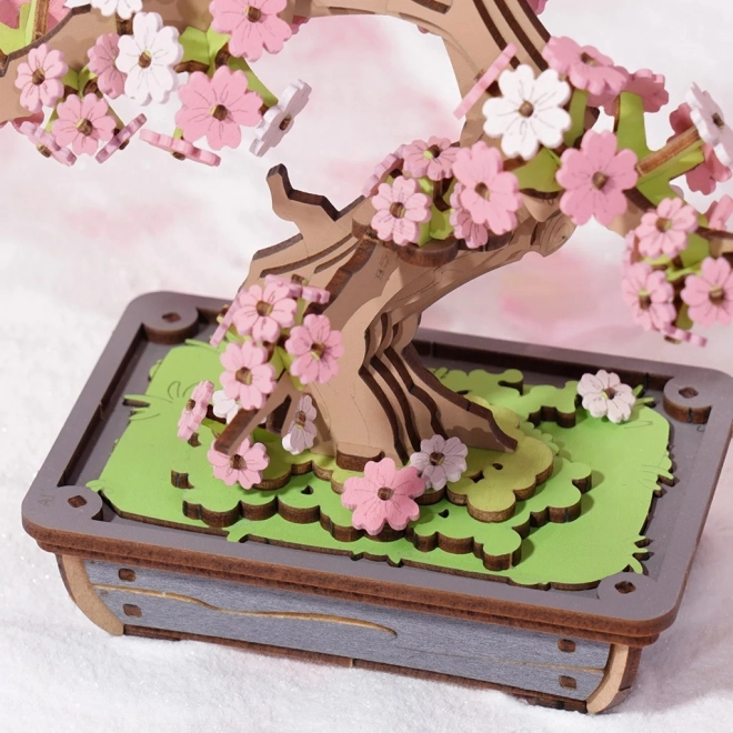 3D dřevěná skládačka Bonsai Sakura