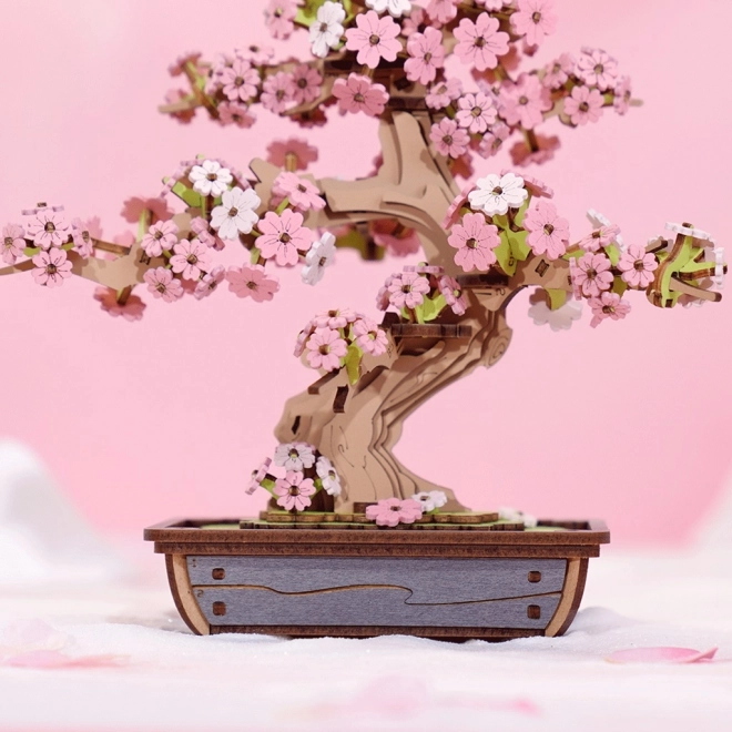 3D dřevěná skládačka Bonsai Sakura