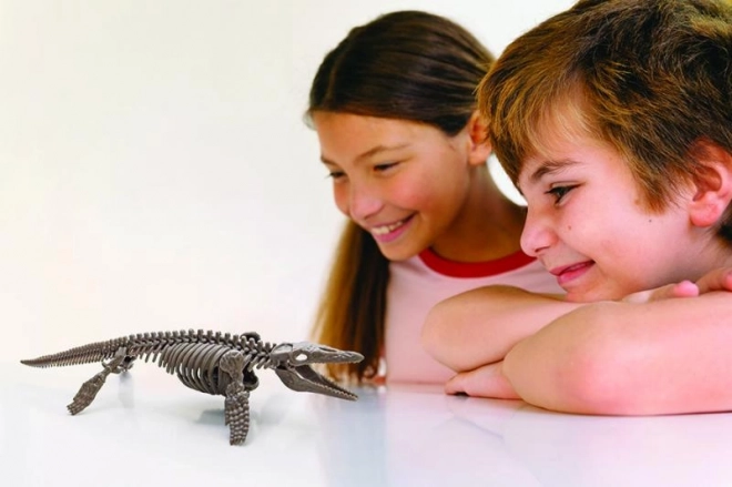 4M Mosasaurus Kostra