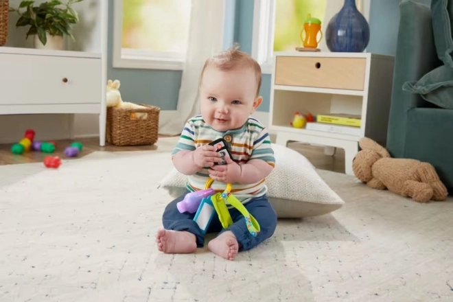 Fisher-Price Klíče s aktivitami pro miminka