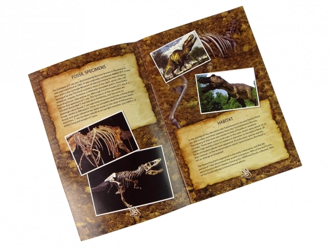 Edukativní sada vykopávky DINOSAURUS TYRANOSAURUS