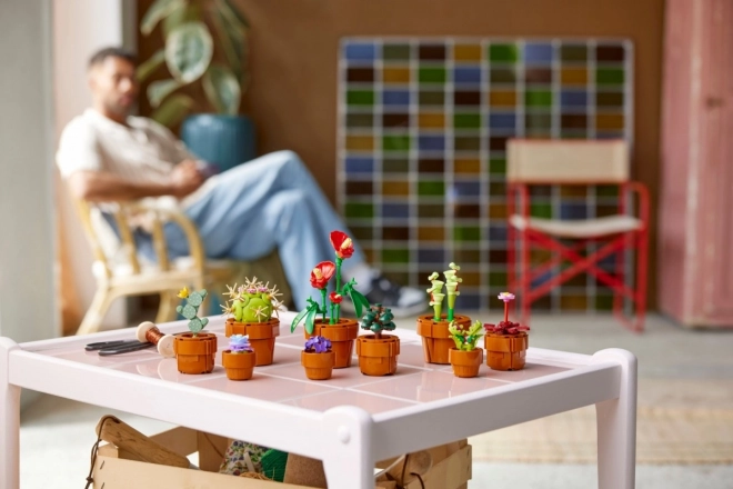 LEGO® Icons 10329 Miniaturní rostliny