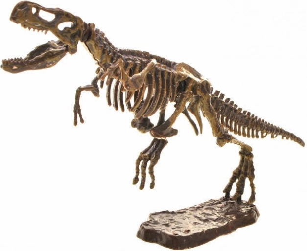 Sestavitelný 3D skelet T‑Rexe