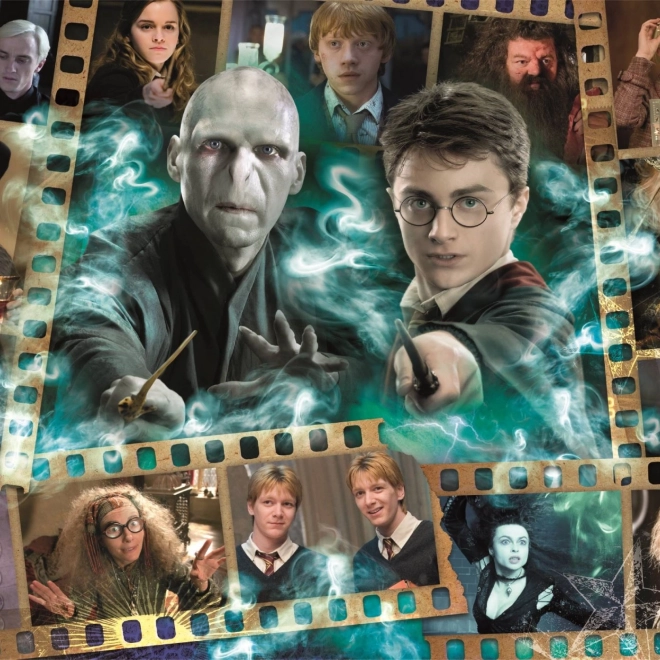 Puzzle Harry Potter: Oblíbené postavy 1000 dílků
