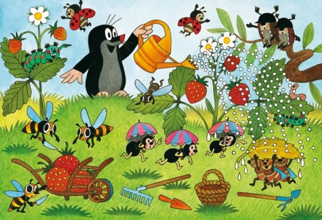 RAVENSBURGER Puzzle Krteček na zahrádce 2x24 dílků