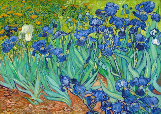 Puzzle Kosatce od Vincenta van Gogha 1000 dílků
