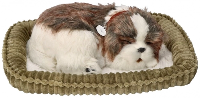 Adoptuj mě dýchající štěně Shih Tzu