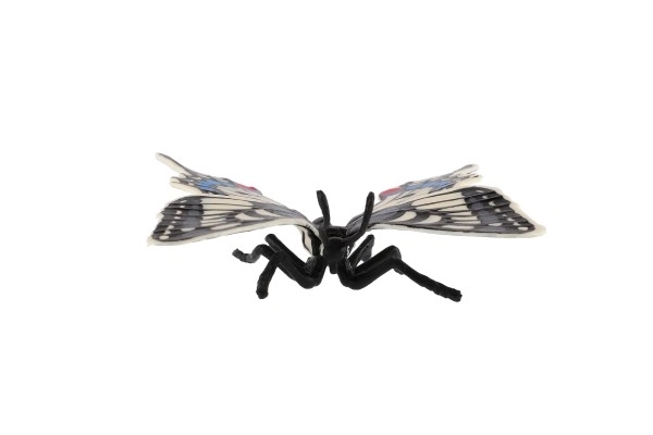 Motýl tropický Papilio/otakárek fenyklový zooted plast 8cm v sáčku