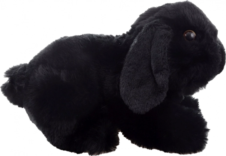 Eco-friendly zpracování