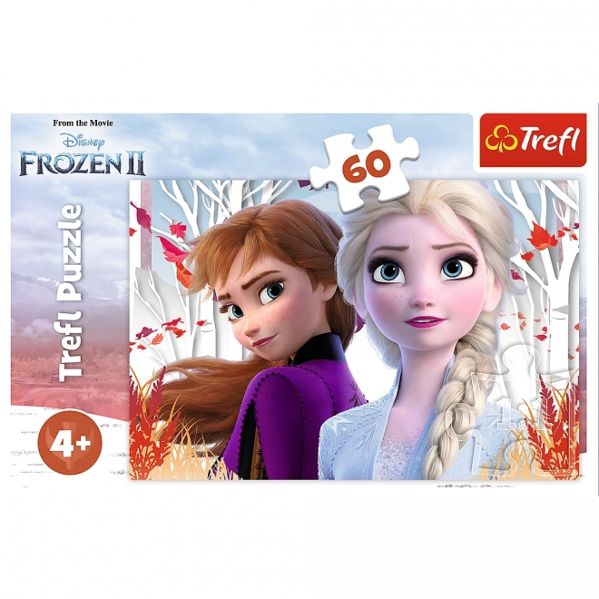 Puzzle Ledové království II/Frozen II 60 dílků 33x22cm v krabici 21x14x4cm