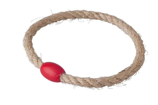 Dřevěná hra zručnosti Hoopla